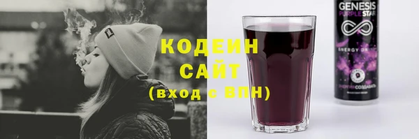 гашик Осинники