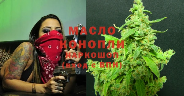 гашик Осинники