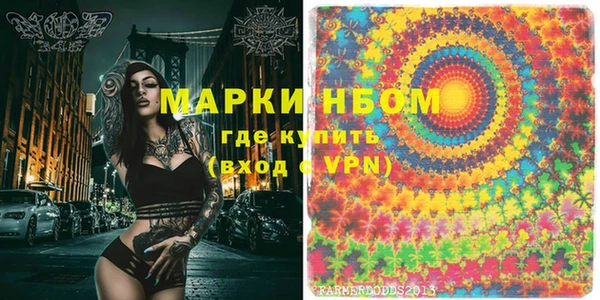 гашик Осинники