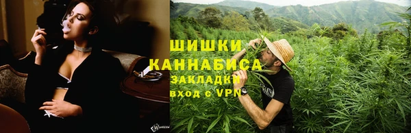 гашик Осинники