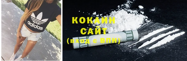 гашик Осинники