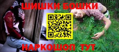 крисы Кулебаки