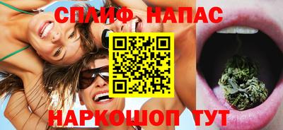 крисы Кулебаки