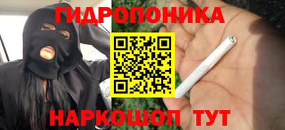 крисы Кулебаки