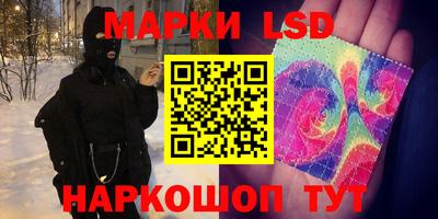 крисы Кулебаки