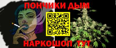 крисы Кулебаки