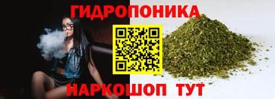 крисы Кулебаки