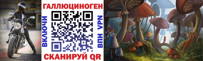 где купить   нарко площадка формула  Псилоцибиновые грибы ЛСД  Иваново 