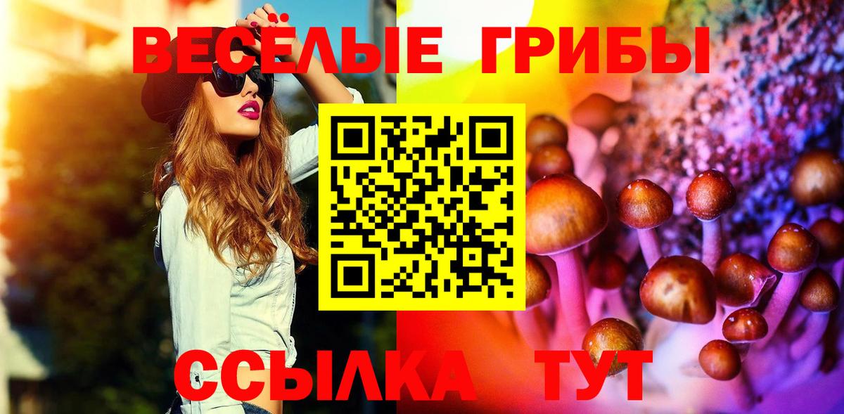 Псилоцибиновые грибы Magic Shrooms  Вход с VPN  цена   Иваново 